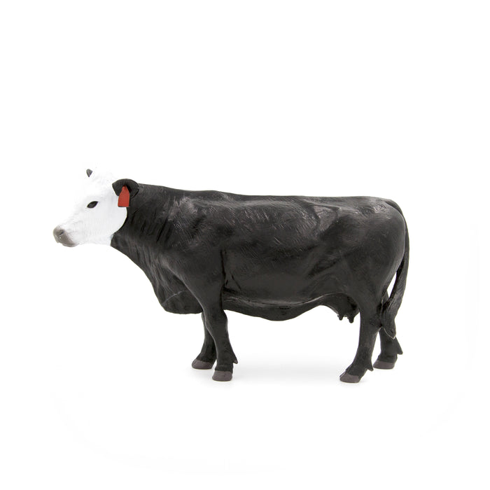 Black & White Face Cow