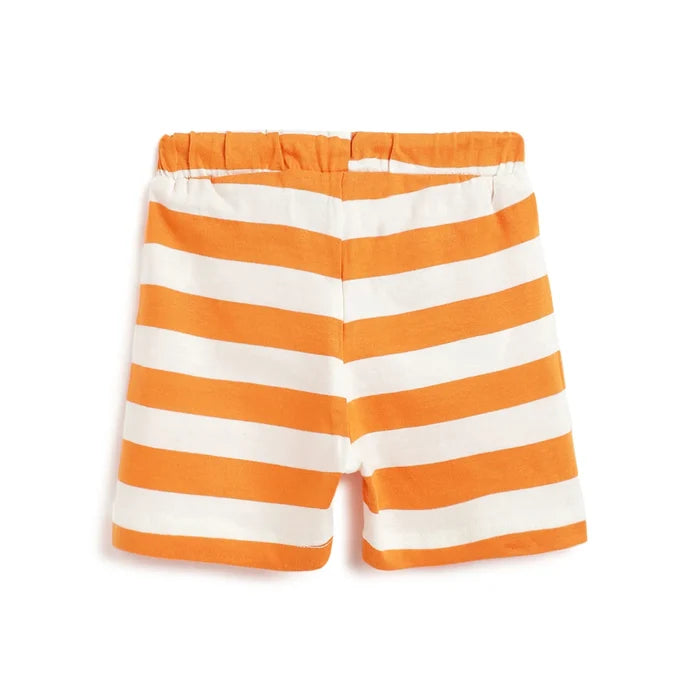 Boys Printed T-shirt With Shorts
