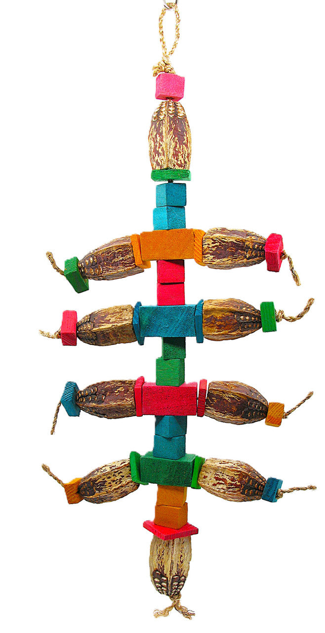 Mahogany Ant