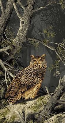 MAJESTC WOODS OWL 8584-K 8 PANEL