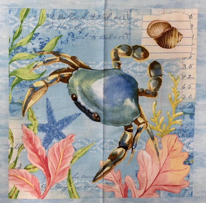 SEASIDE WONDERS 28102-457 P