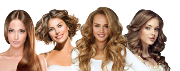 Velform Brush & Dry - TVShop
