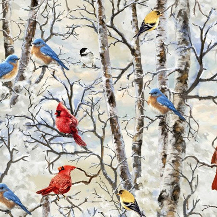 WINTER BIRDS C7593