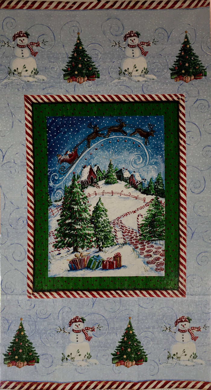 WINTER WONDERLAND 33757P