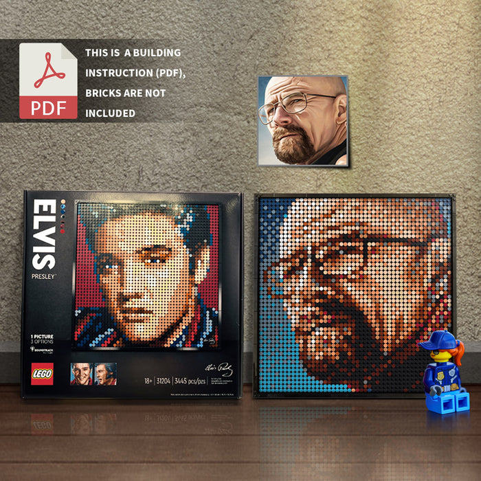 31204-Walter White