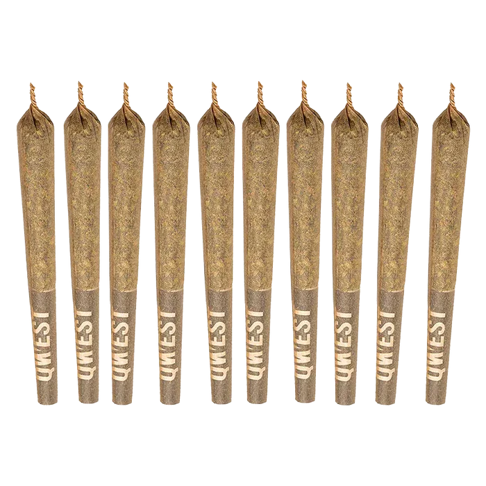 Top-down row of ten pre-rolled cones labelled "35's White Walker PR 10 x 0.35 g" standing upright on a white background.