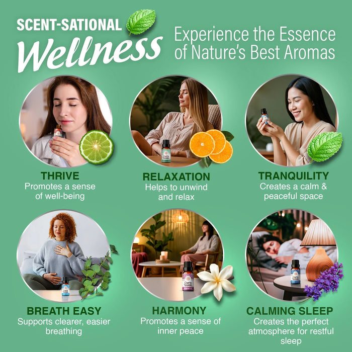 6 Essential Oil Blends Set, 10 ML
