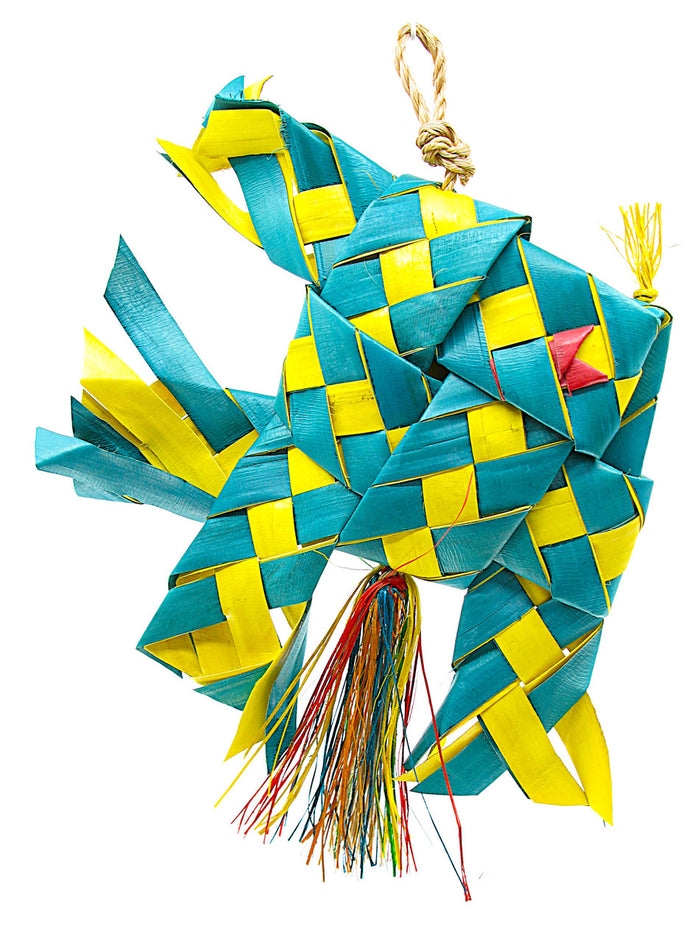 Angel Fish