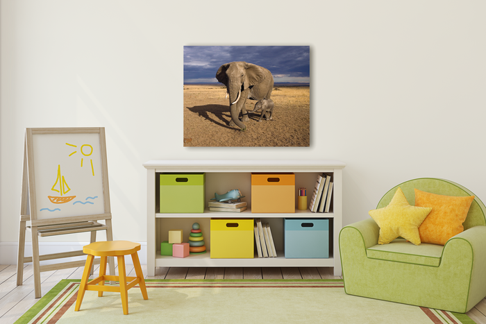 Baby Elephant and Mom Photo