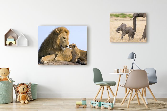 Baby Elephant Photo