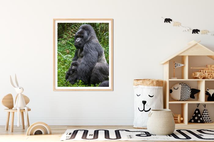 Baby Gorilla and Dad Photo