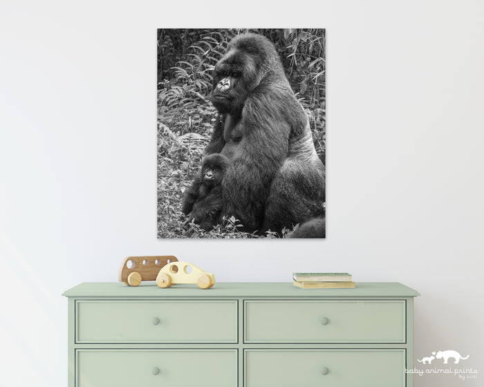 Baby Gorilla and Dad Photo