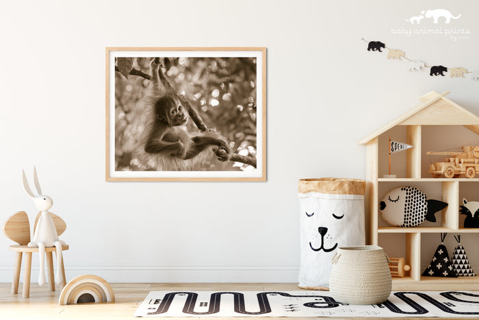 Baby Orangutan Playing Photo