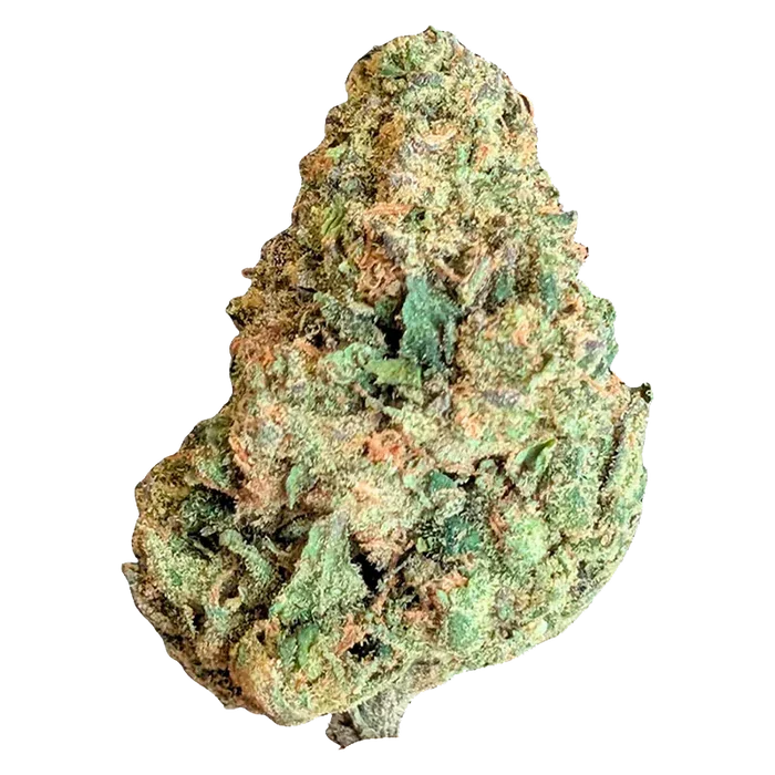 Close-up front view of a single BC Organic Lime Drizzle cannabis bud against a clean white background, showing green leaves and amber hairs.