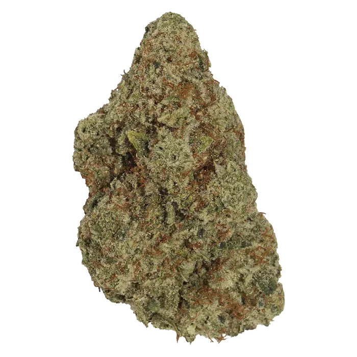 Close-up of a single dried bud of Big Apple against a plain white background, showing green leaves, orange hairs, and crystalline trichomes.