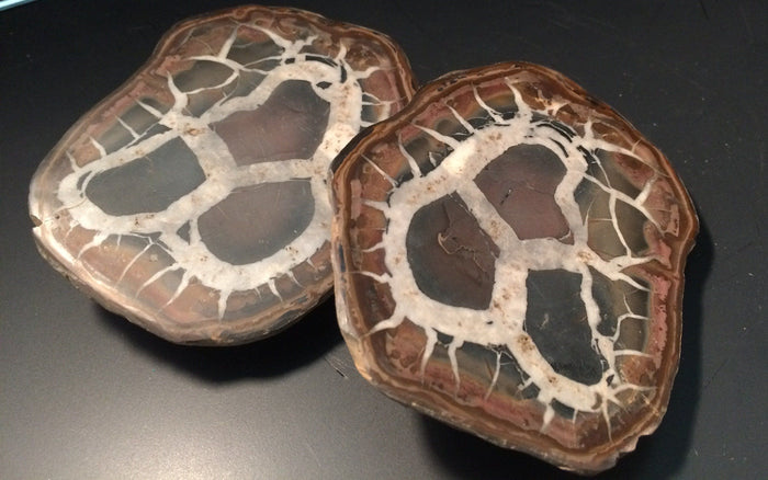 Black Septarian - Morroco | Of Coins & Crystals