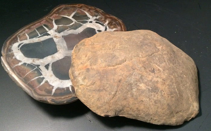 Black Septarian - Morroco | Of Coins & Crystals