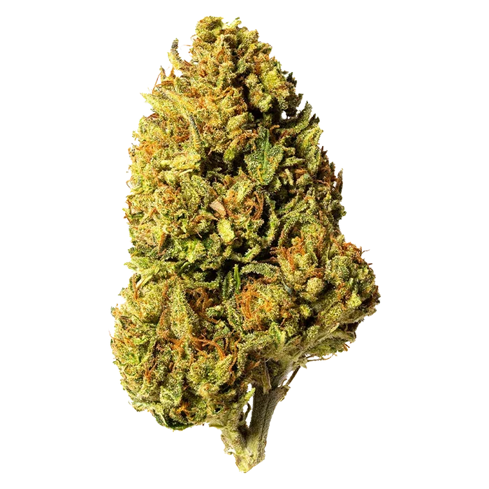 Close-up front view of a single dense cannabis bud labeled Bleuh Light CBD against a plain white background.