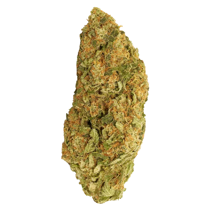 Single top-down studio shot of the Blueberry Donuts cannabis bud against a white background, showing green and orange trichome-covered details.