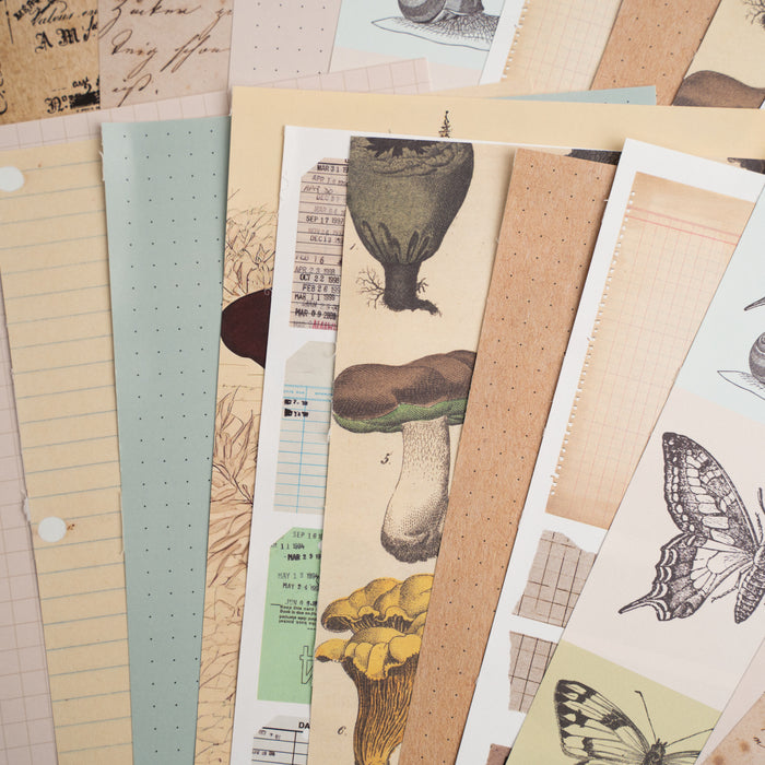 Bonnies Fave Collage Papers - Archer and Olive