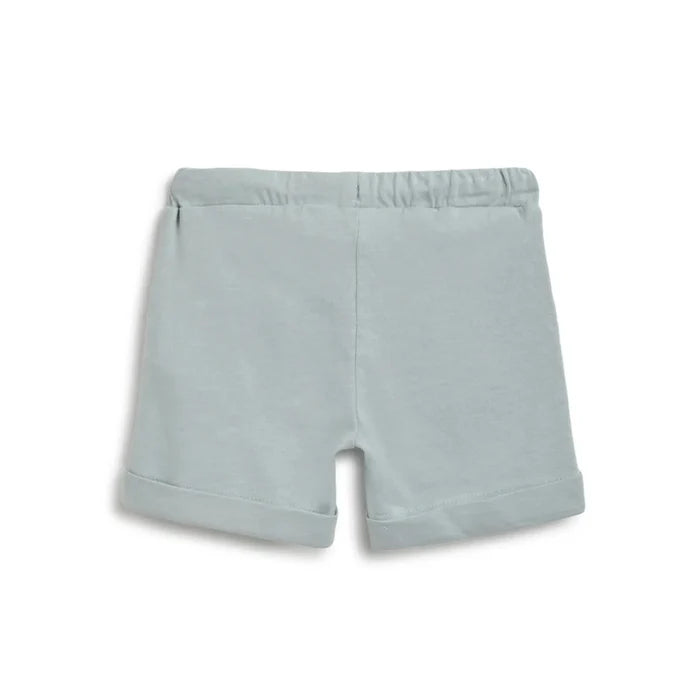 Boys Green Printed T-Shirt With Shorts