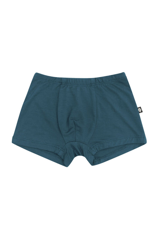 Product photo of the Briefs in Atlantic
