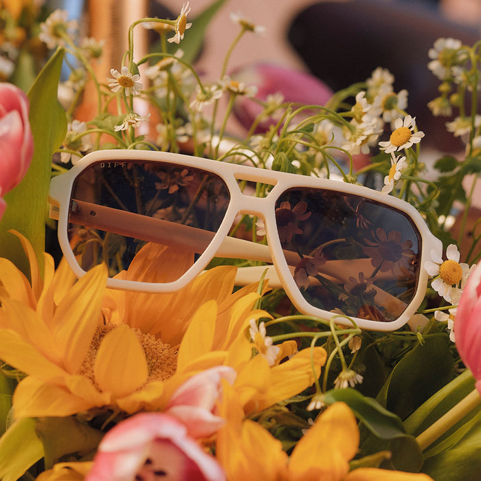 still life - diff eyewear featuring the cameron navigator sunglasses with a courtside ivory frame and brown gradient polarized lenses