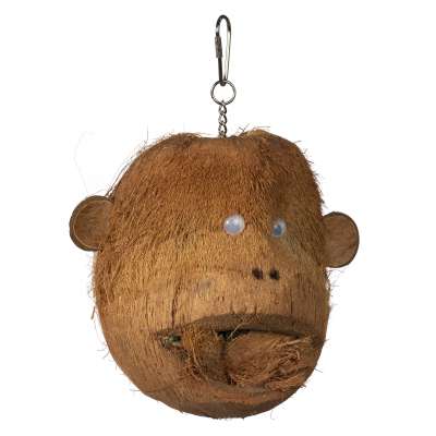 Coco Monkey