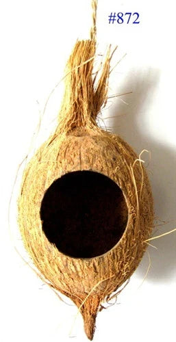 Coconut Hut