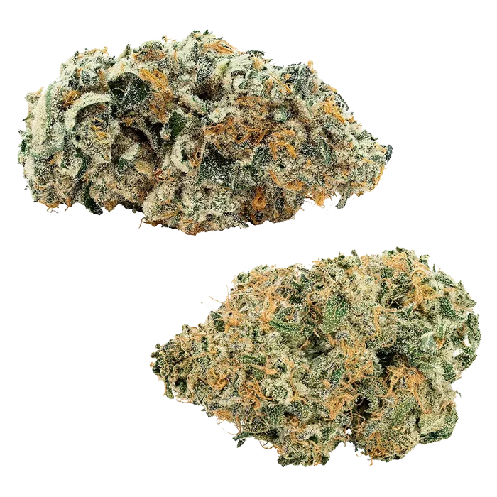 Top-down photo of two dense, frosty buds of Comboz Purplecherry showing green leaves and orange hairs on a white background