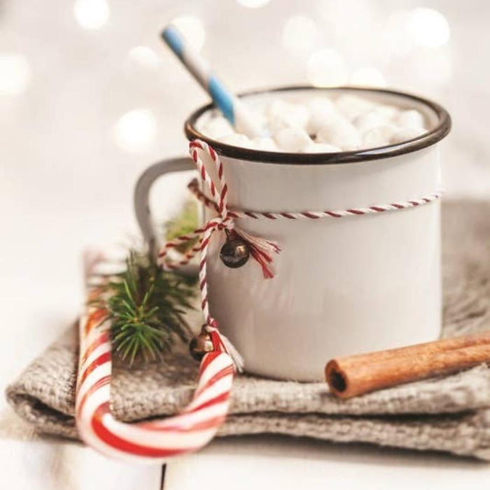 Cozy Cocoa Festive Gift Set - 140g Double Truffle