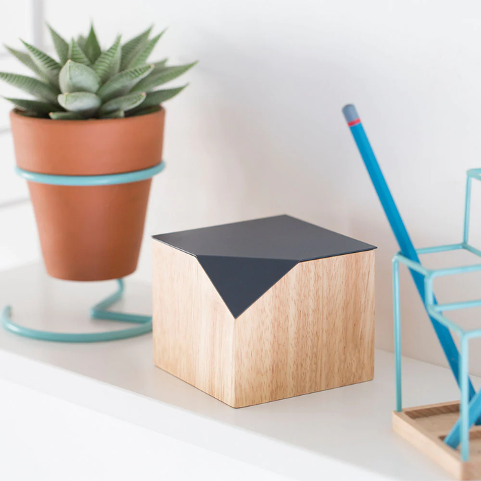 Cut-Away Storage Box