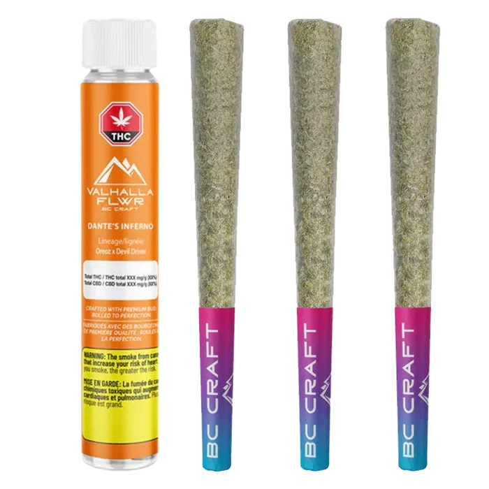 Rowed front view of three pre-rolls beside an upright orange tube of Dante's Inferno Pre-Rolls 3 x 0.5 g, showing paper-wrapped joints with purple-blue tips.