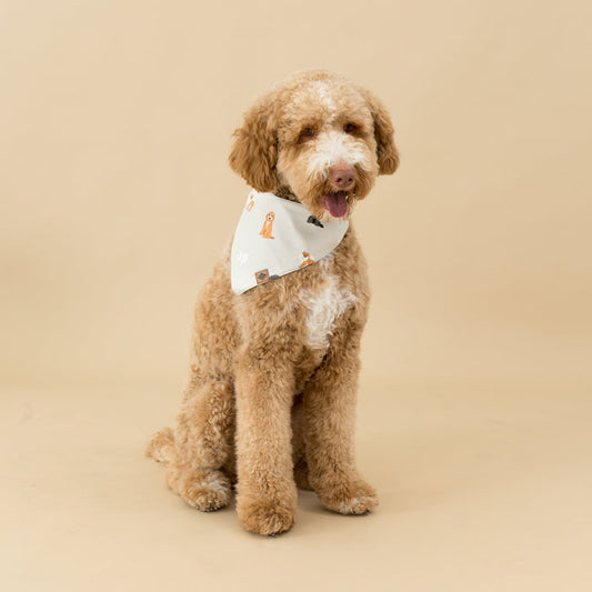 Dog wearing Dog Bandana in Fluffy Dog