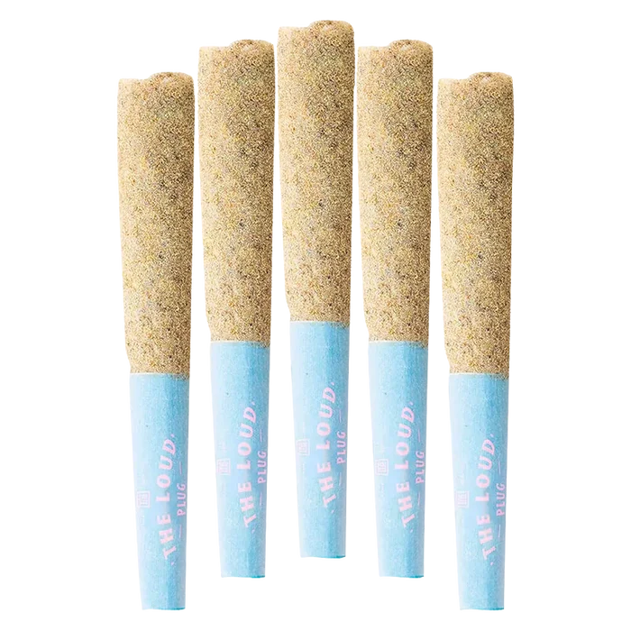 Top-down view of five Drippyz Bubba Joon Infused PR 5 x 0.5 g pre-rolls with sand-colored packed tips and pale blue branded filters.