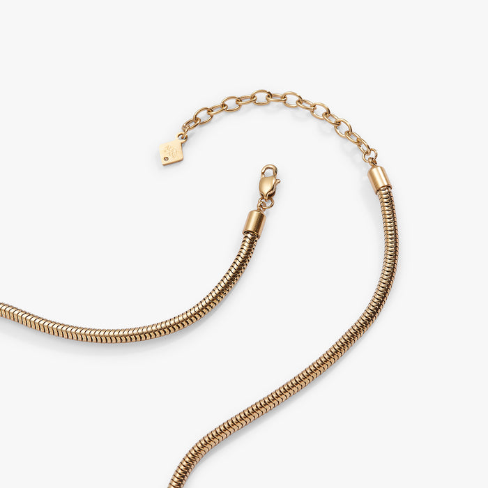 Stainless Steel Gold