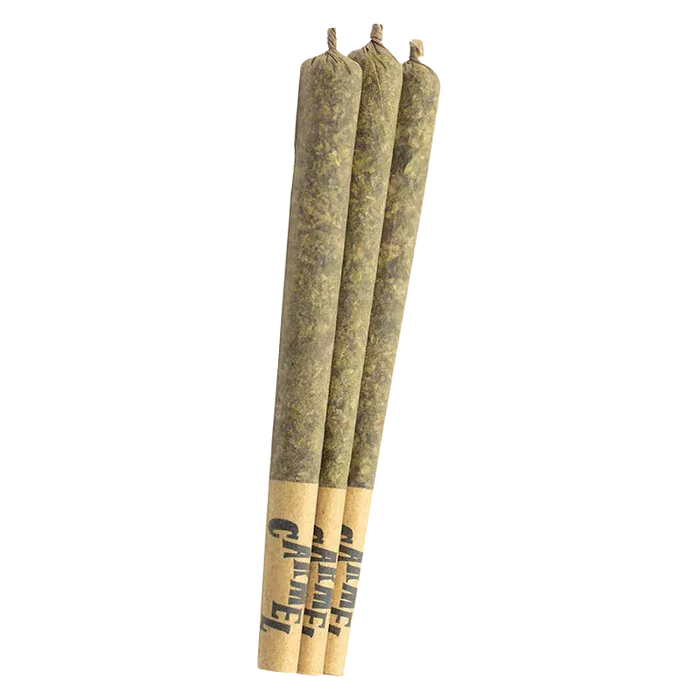 Three slender pre-rolled joints photographed upright in a row, showing the twisted tips and printed paper filters of Envy PR 3 x 0.5 g.