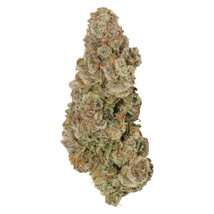 Close-up front view of a frosty, conical cannabis bud labeled Envy, showing dense trichomes and orange pistils against a white background.