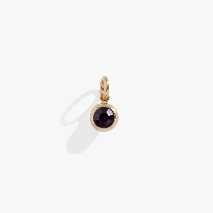 February Birthstone Interchangeable Charm