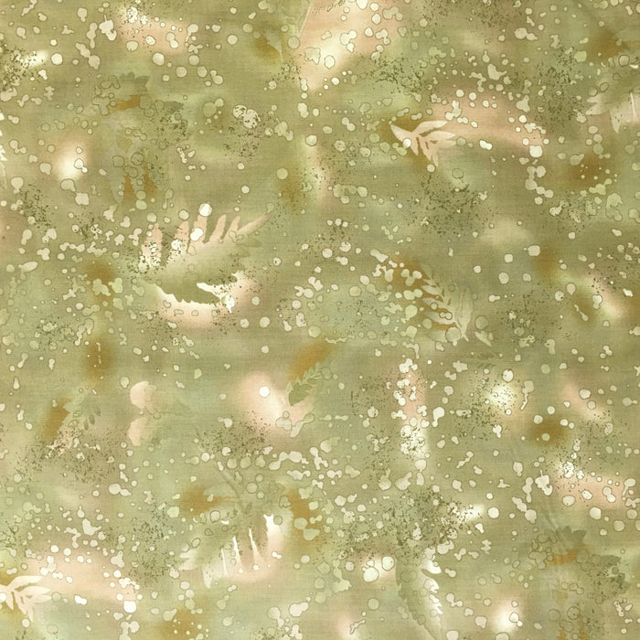 FOSSIL FERN-0V - SAGE GREEN & TAN