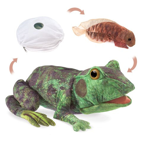 Frog Life Cycle Puppet