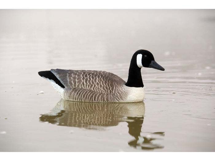 Game On Canada Goose Flocked Floating Decoys 4 Pack | Upright