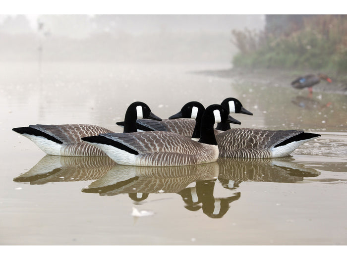 Game On Canada Goose Flocked Floating Decoys 4 Pack | Upright