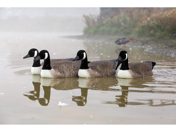 Game On Canada Goose Flocked Floating Decoys 4 Pack | Upright