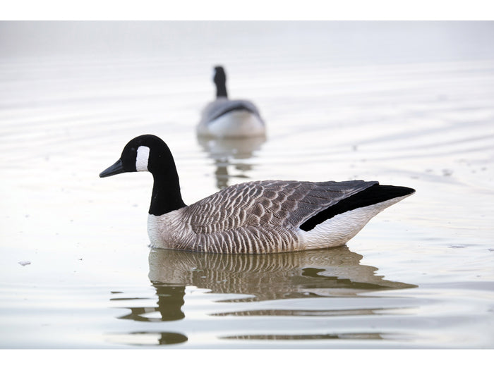 Game On Canada Goose Flocked Floating Decoys 4 Pack | Upright