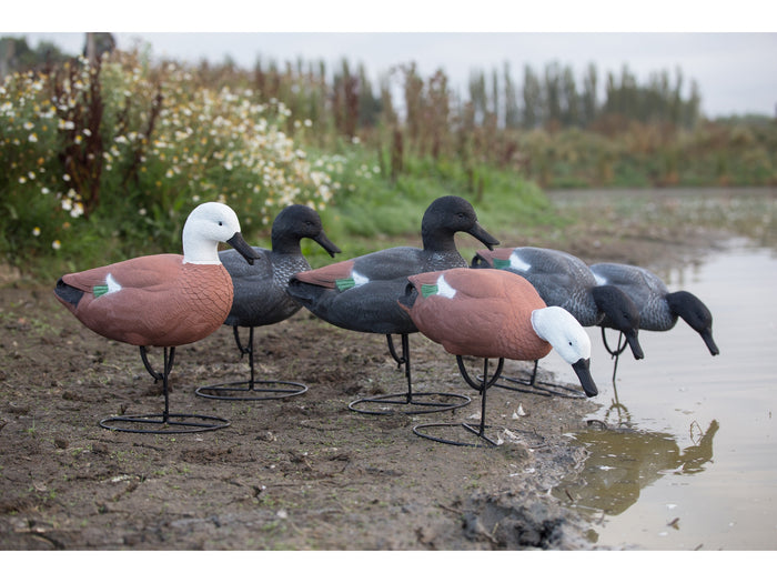 Game On Full Body Paradise Duck Field Decoy Family 6-Pack