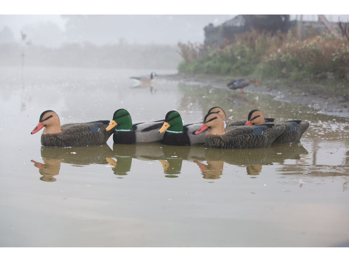 Game On Magnum Mallard Flocked Body Decoy Family 6 Pack 20 Inch
