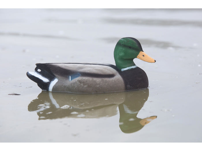 Game On Magnum Mallard Flocked Body Decoy Family 6 Pack 20 Inch