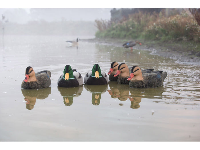 Game On Magnum Mallard Flocked Body Decoy Family 6 Pack 20 Inch