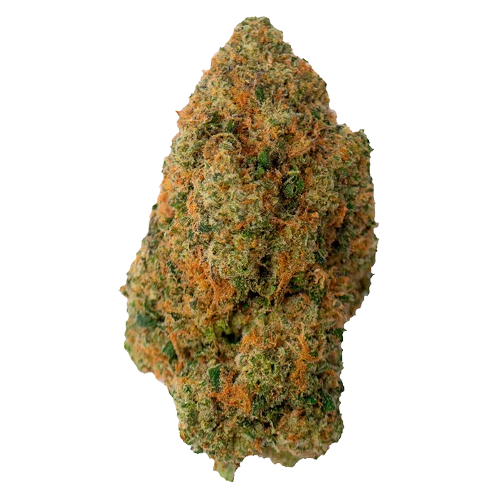 Close-up front view of a single Gas Pack bud showing dense green and orange trichome-covered texture against a white background